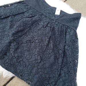 NWT Ann Taylor LOFT A-Line Pleated Lace Skirt 6